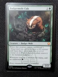 2026年最新】アナグマモグラの仔の人気アイテム - メルカリ