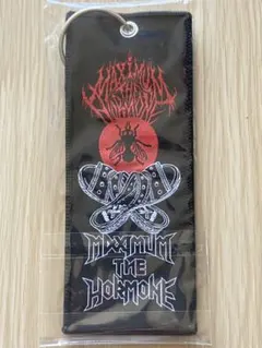 2026年最新】マキシマムザホルモン フライトタグの人気アイテム - メルカリ