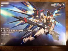 2026年最新】pg ストライクフリーダムの人気アイテム - メルカリ