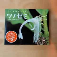 2026年最新】ツノゼミの人気アイテム - メルカリ