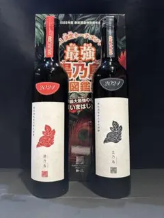 2026年最新】新政 頒布会 第二弾の人気アイテム - メルカリ