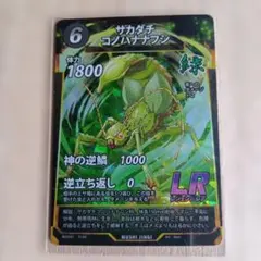 2026年最新】サカダチコノハナナフシの人気アイテム - メルカリ