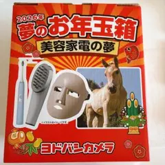 2026年最新】夢のお年玉箱の人気アイテム - メルカリ