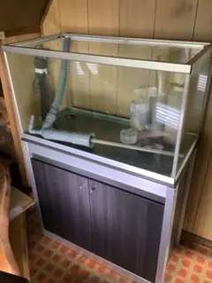 2026年最新】オーバーフロー水槽 60の人気アイテム - メルカリ