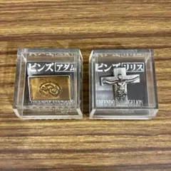 2026年最新】アダム ピンズ エヴァンゲリオンの人気アイテム - メルカリ