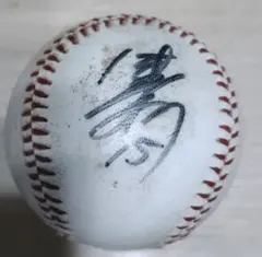 2026年最新】津田恒実サインの人気アイテム - メルカリ