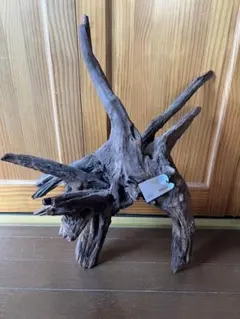 2025年最新】ada ホーンウッドの人気アイテム - メルカリ