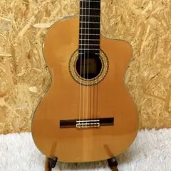 2026年最新】タカミネ エレガットの人気アイテム - メルカリ