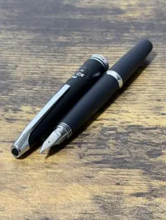 2026年最新】パイロット ミュー万年筆の人気アイテム - メルカリ