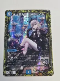 2026年最新】シャコガイルaの人気アイテム - メルカリ