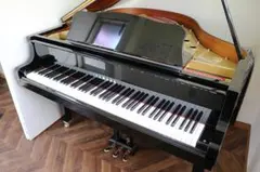 2026年最新】グランドピアノ a1の人気アイテム - メルカリ