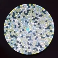 2026年最新】ベネチアングラス ミルフィオリの人気アイテム - メルカリ