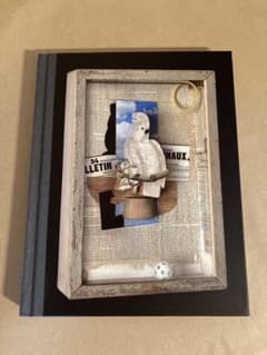 ブンダーカマー✴︎ 蒐集箱 ✴︎ジョセフ コーネル