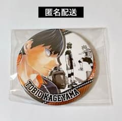 ハイキュー コレクション缶バッジ HEROES 影山飛雄 全10種 コンプリート