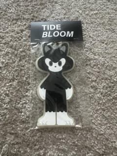 TIDE CATキーホルダー イデタツヒロ 公式コラボ品