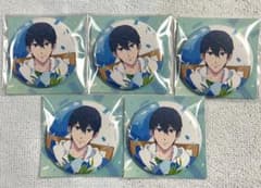 Free! -Eternal Summer- 岩鳶 缶バッジセット