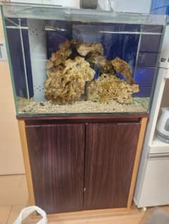 60×30×40 オーバーフロー水槽&水槽台&濾過槽&水中ポンプ