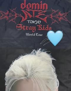 Straykids フィリックス メンバー直筆サイン入り東京ドームソロフラッグ