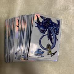 2個ブルードラゴンカードスリーブ