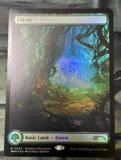 ベータβ 基本土地セミコンプ14枚セット