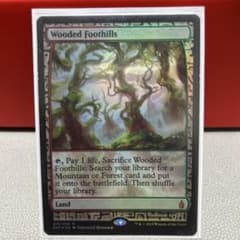 MtG: 樹木茂る山麓 (EXP) 英語版 Foil版