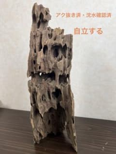 XM-202) 流木マシンガンウッドアクアリウム沈水確認済ブランチウッド