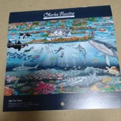 早い者勝ち】【希少】最終価格チャールズ・ファジーノブロードウェイ