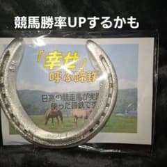 ナリタブライアン蹄鉄記念品馬毛付き