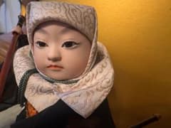 交渉可❗️子供の日！五月人形 お祝ケース飾子供大将 弁慶五條橋お子様