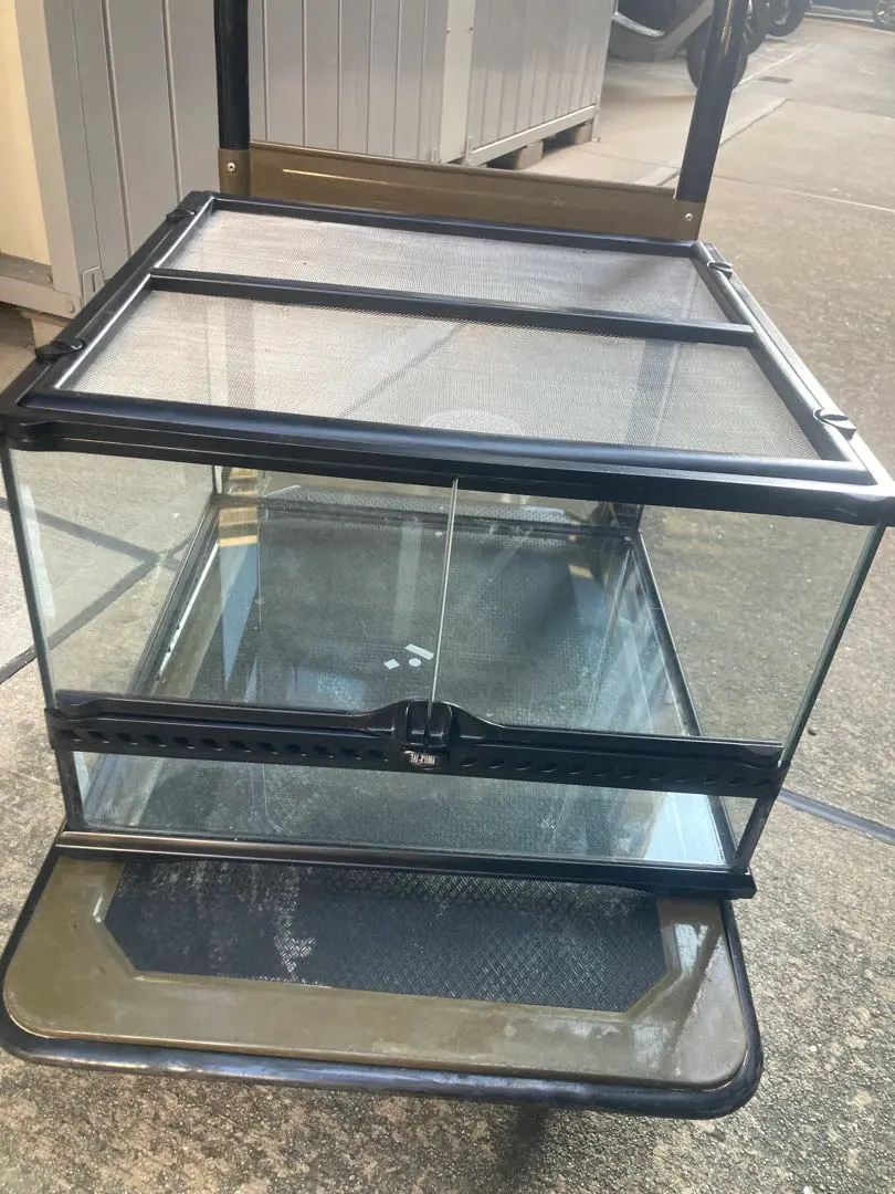 2026年最新】グラステラリウム4530の人気アイテム - メルカリ