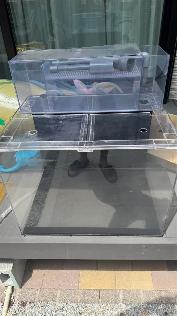 2026年最新】ぷぅ工房の人気アイテム - メルカリ