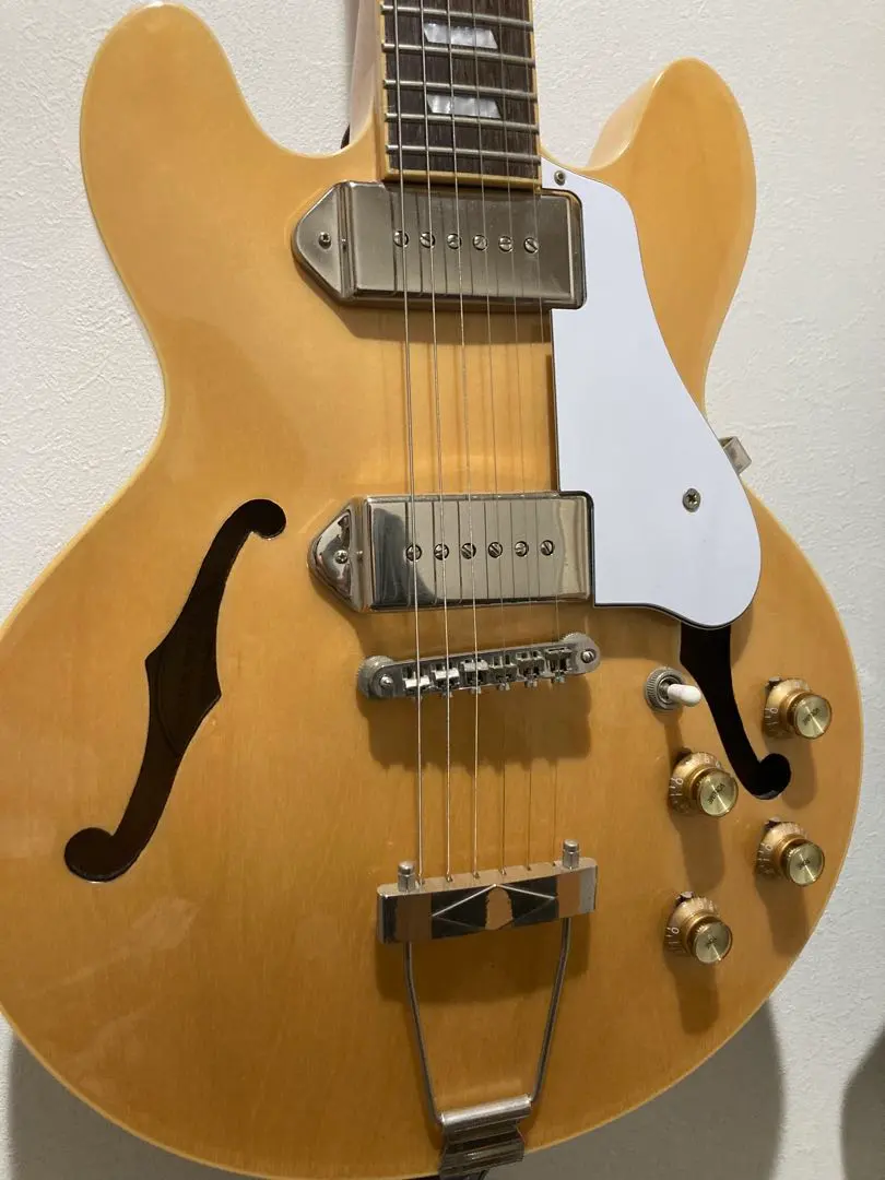 2026年最新】epiphone casino coupe ケースの人気アイテム - メルカリ