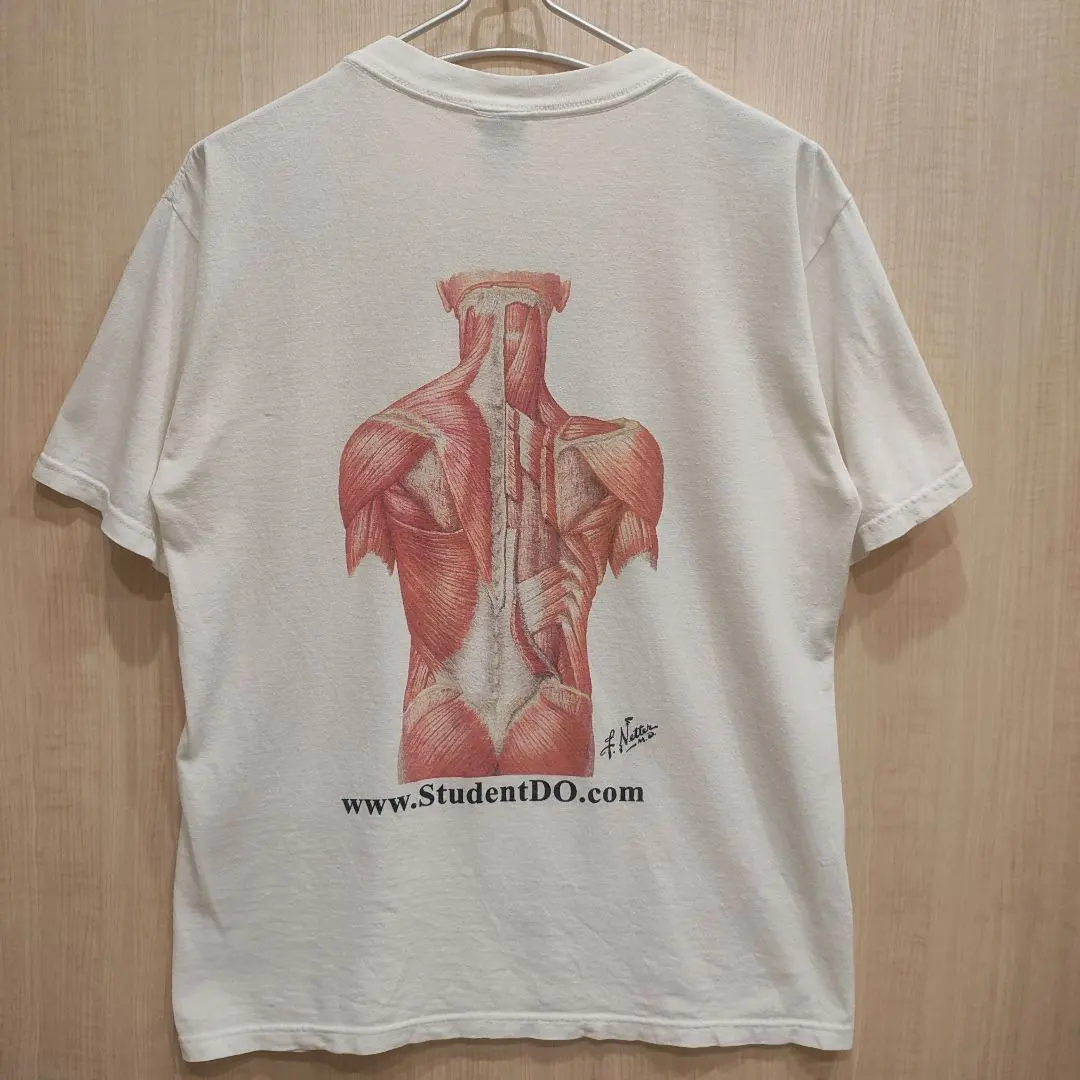 2026年最新】人体模型 tシャツの人気アイテム - メルカリ