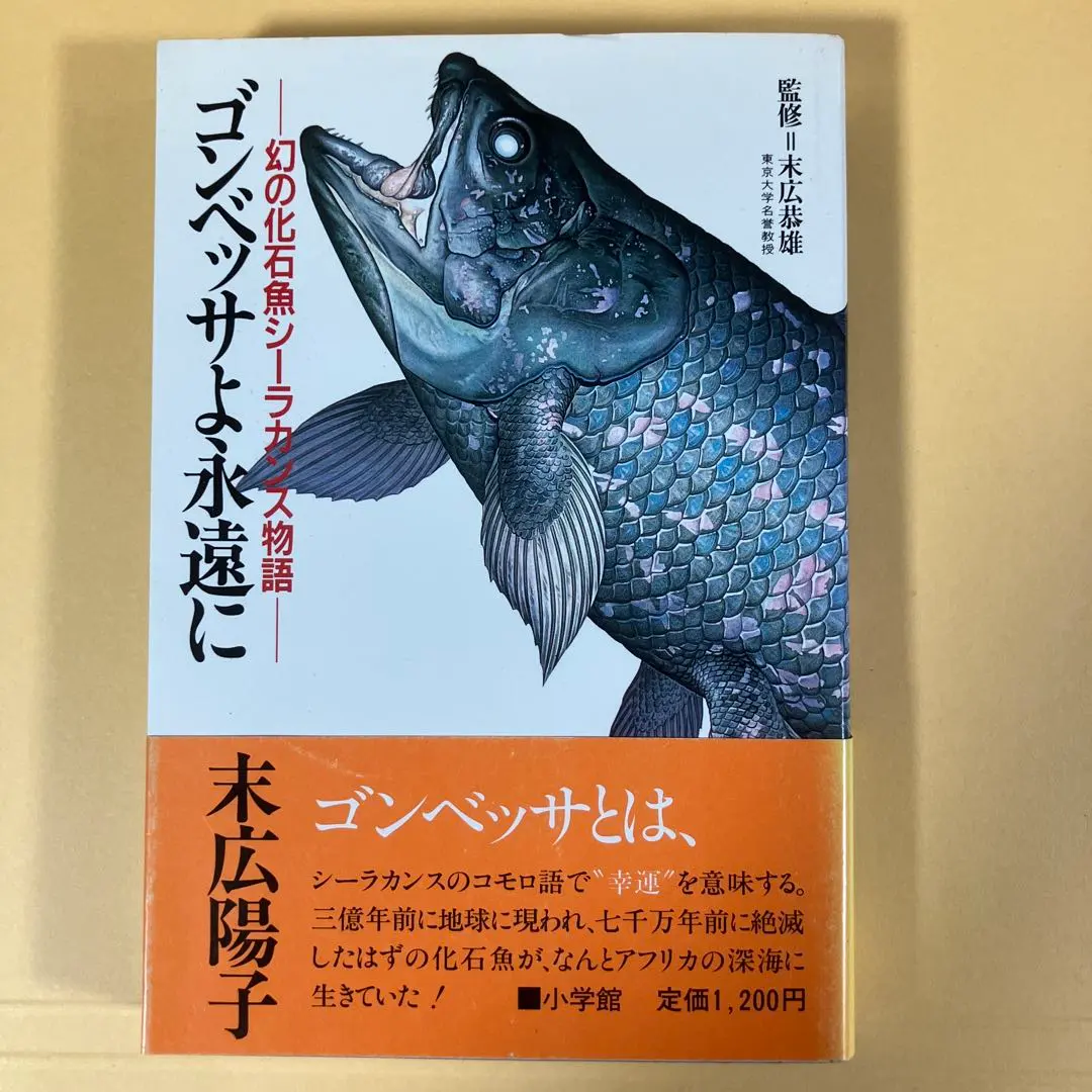 ハンドメイド 61cmシーラカンス フィギュア レプリカ 化石魚 古代魚