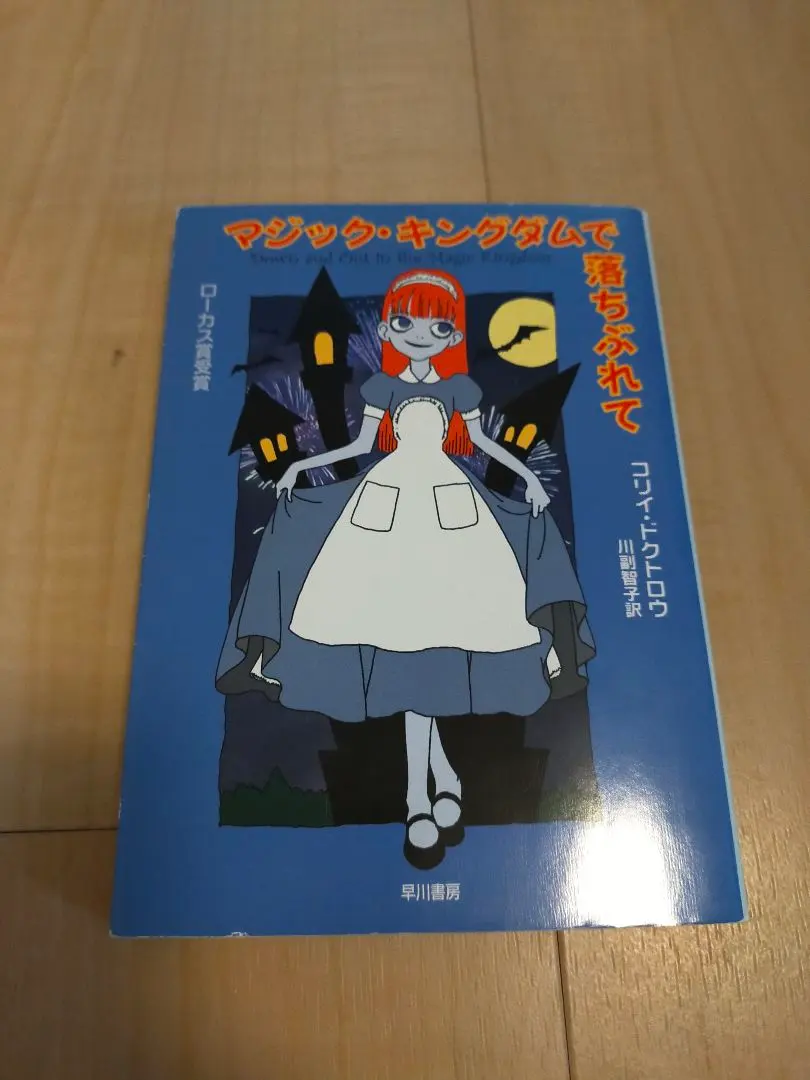 m48609995290_1.jpg?1765607787