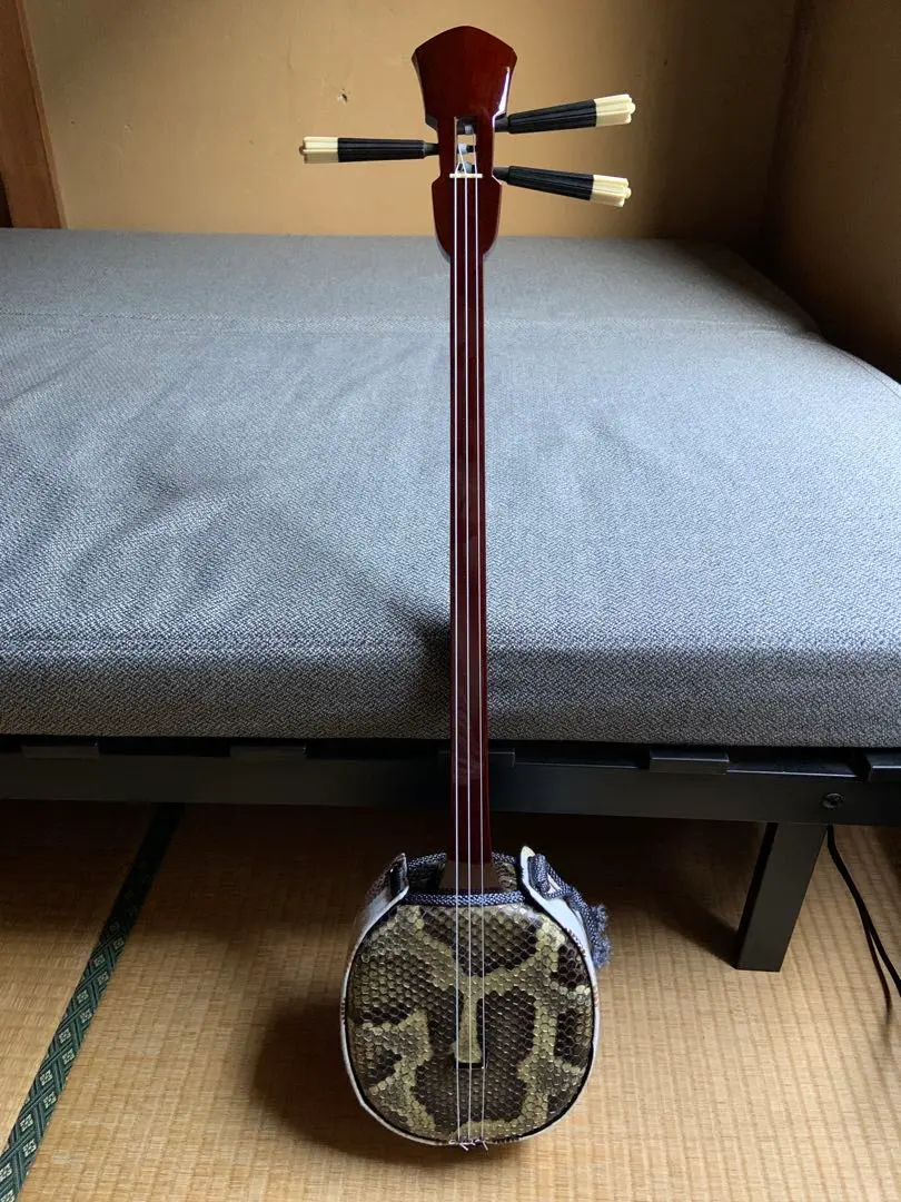 2026年最新】三線チーガの人気アイテム - メルカリ