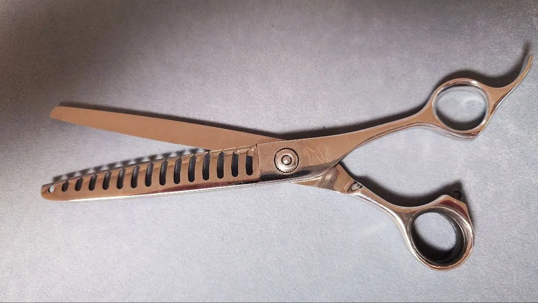 2026年最新】ブレンダーシザー ケリーの人気アイテム - メルカリ