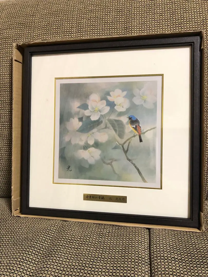 2026年最新】北 光生の人気アイテム - メルカリ