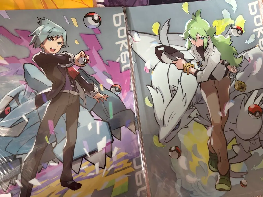 2026年最新】ポケモン ダイゴ ワタル クリアファイルの人気アイテム