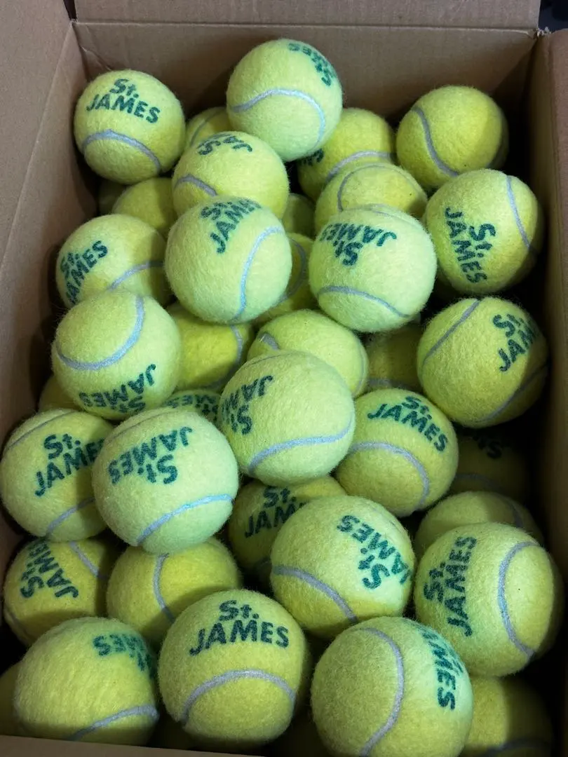 2026年最新】テニスボール 硬式 オレンジの人気アイテム - メルカリ