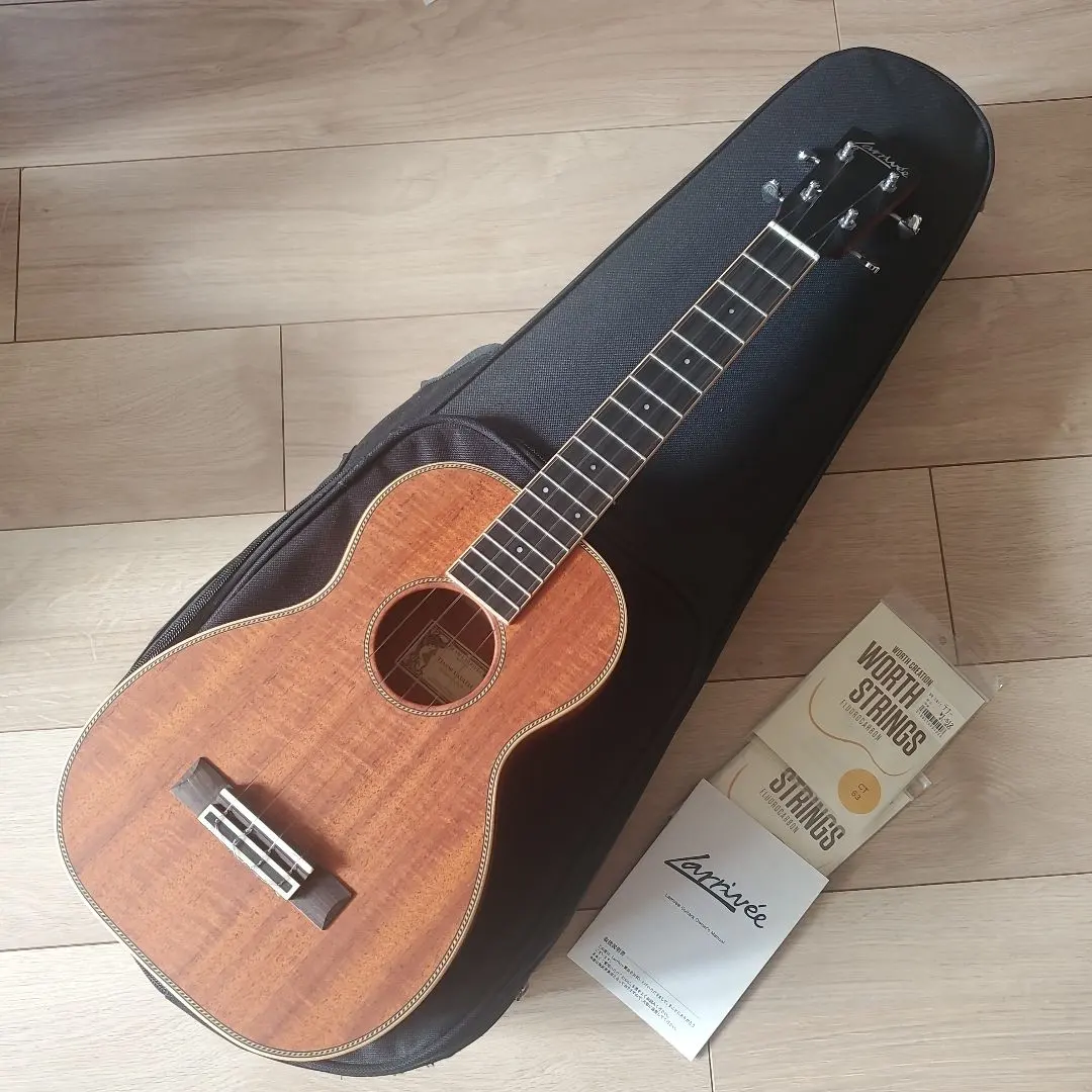 Larrivée ビンテージC-19 1993年製ノースバンクーバー後期