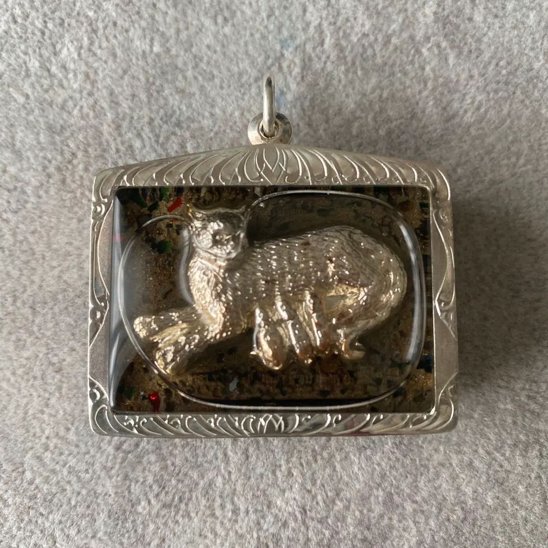 2026年最新】プラクルアン 猫の人気アイテム - メルカリ