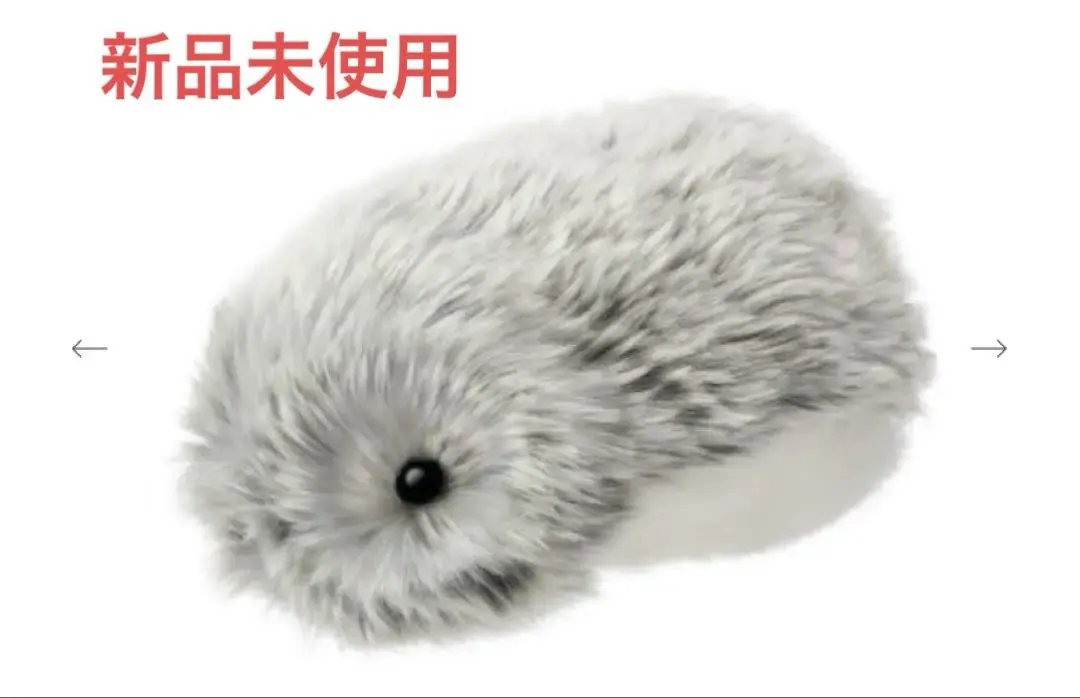 m62269930928_1.jpg?1768263910