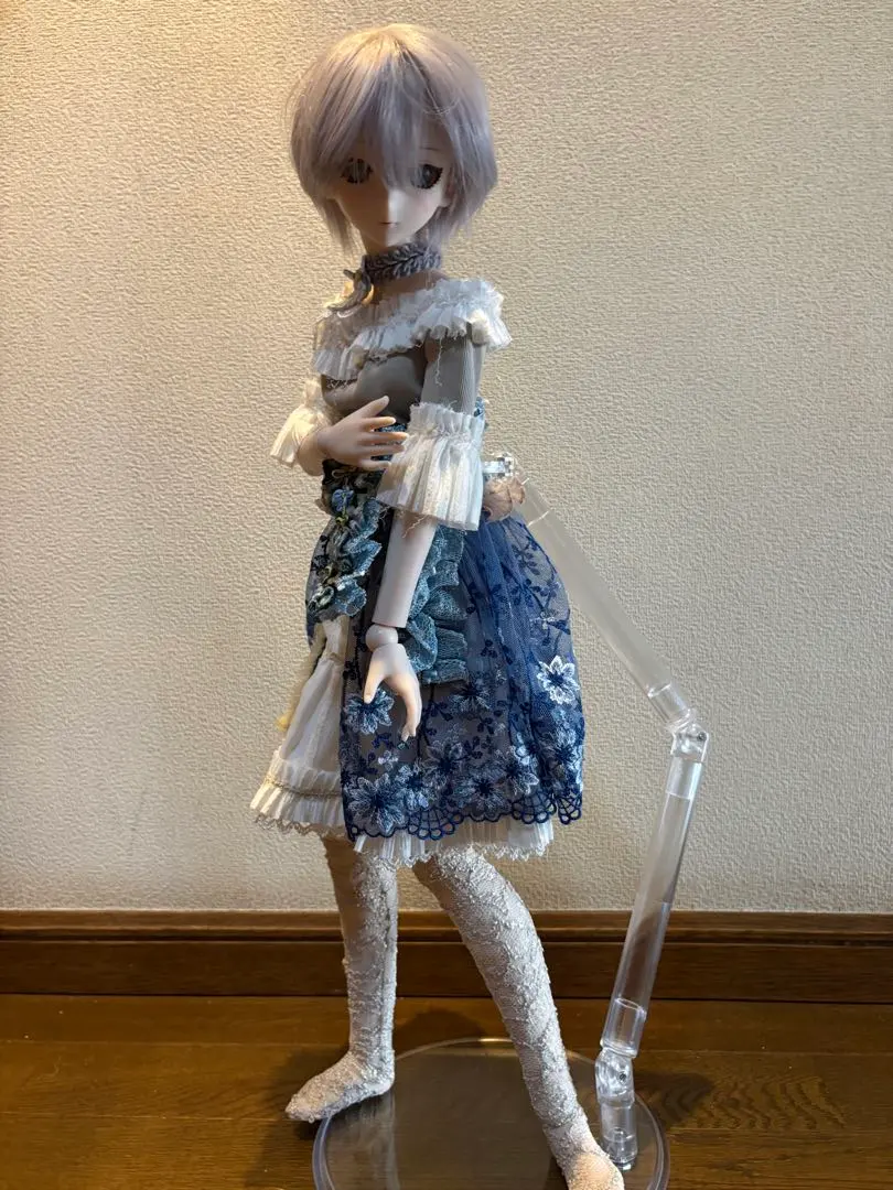 2026年最新】ドルフィードリーム アナスタシアの人気アイテム - メルカリ