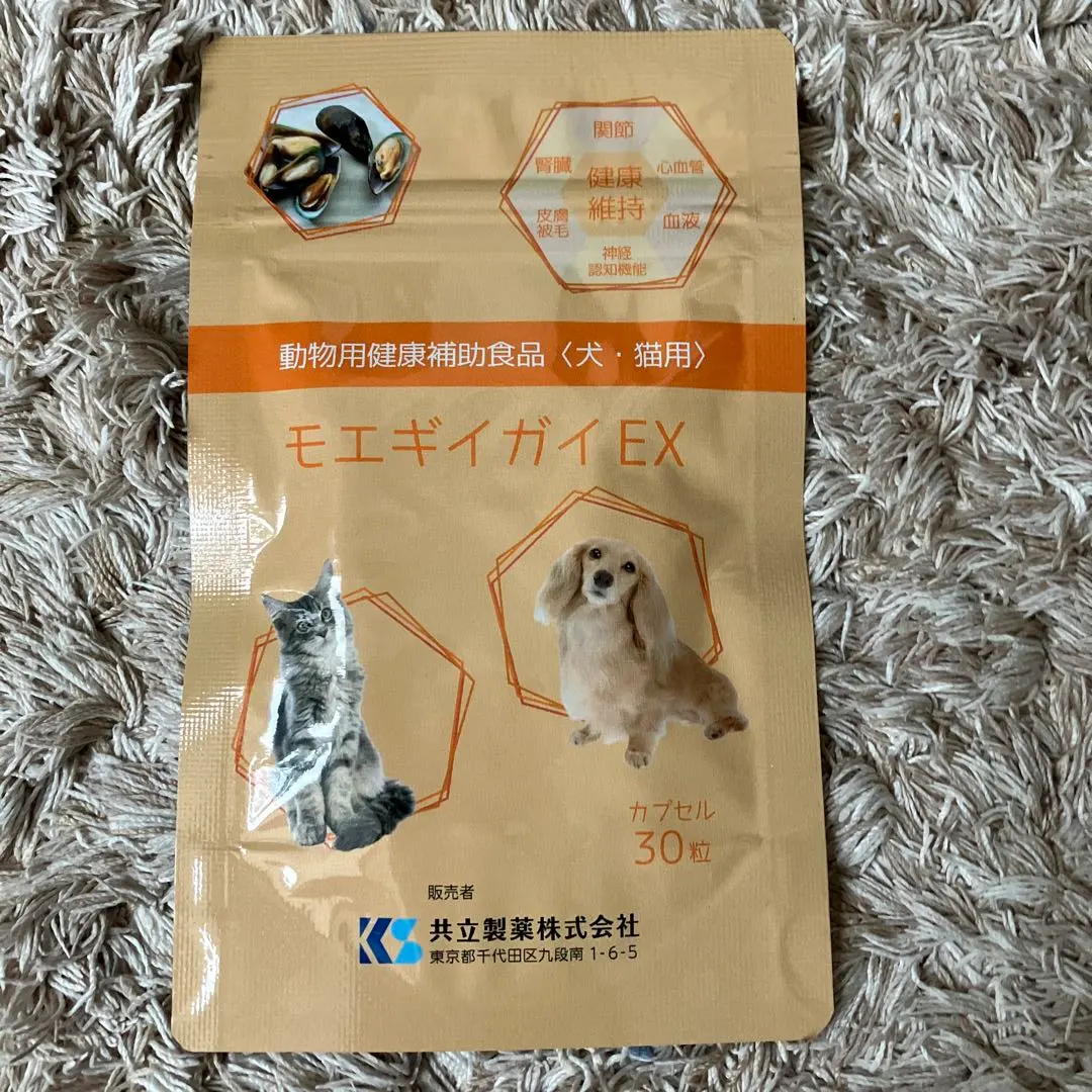 2026年最新】モエギイガイexの人気アイテム - メルカリ