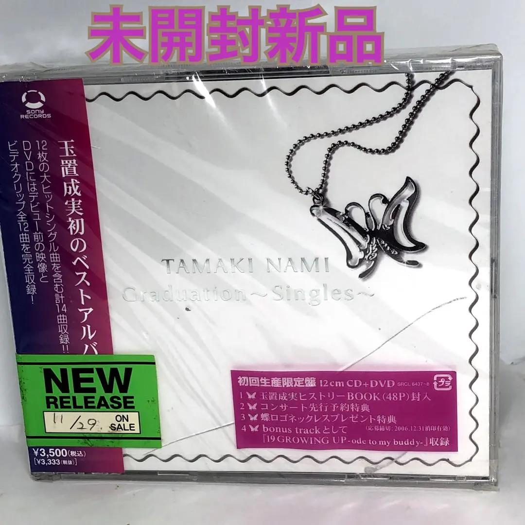 玉置成実ライブツアースタッフ用アクセスオールエリアパス