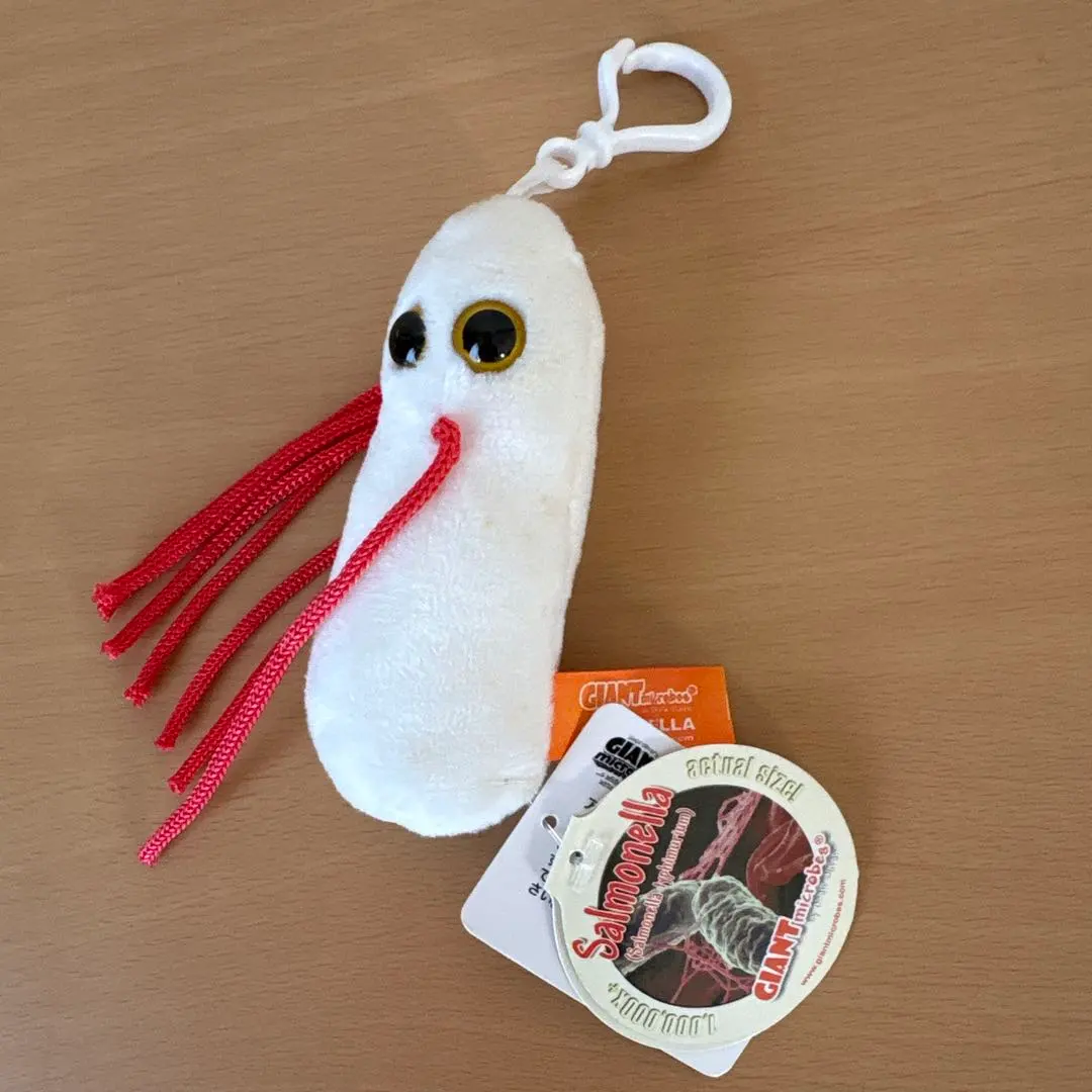 2026年最新】臓器ストラップの人気アイテム - メルカリ