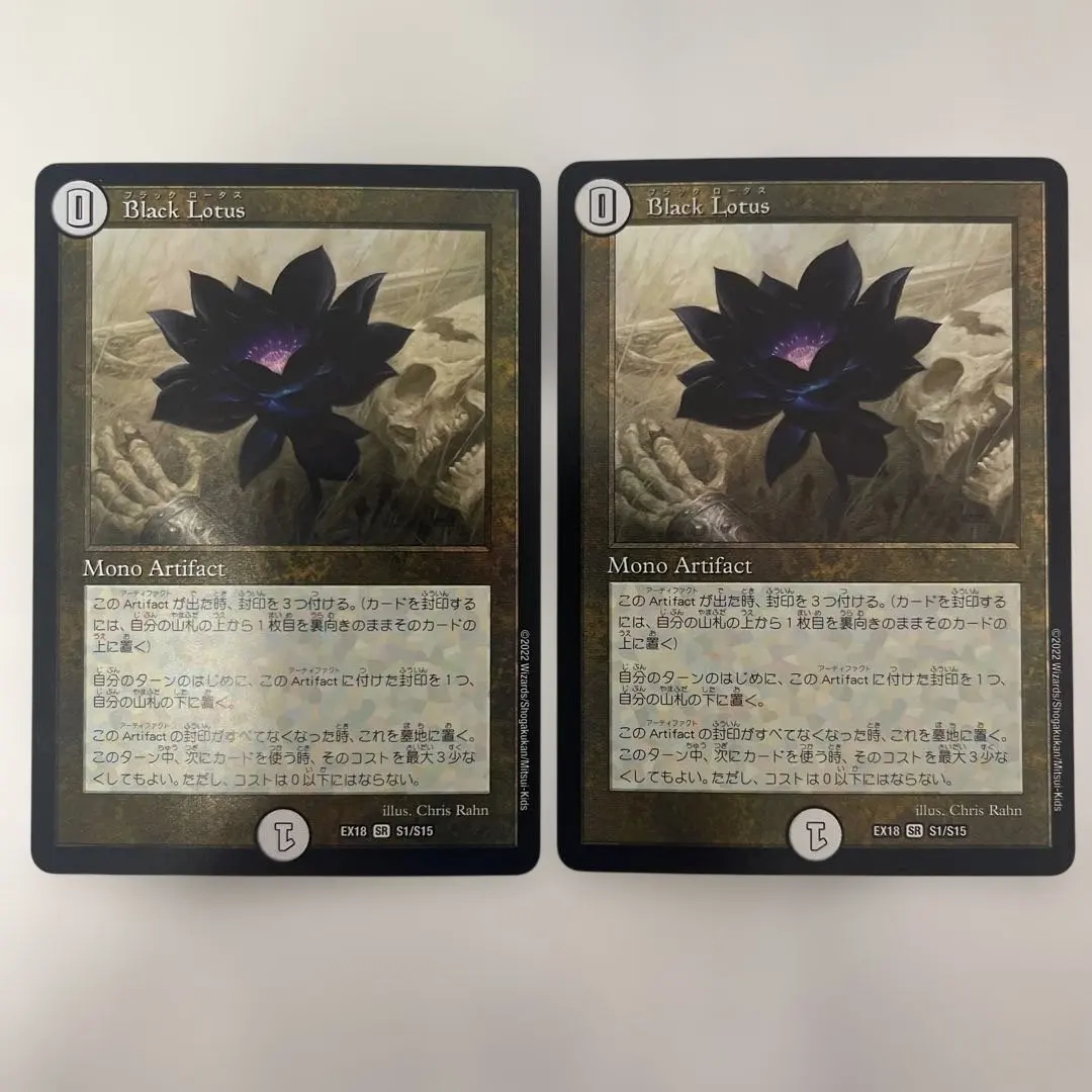 2026年最新】ブラックロータススリーブの人気アイテム - メルカリ