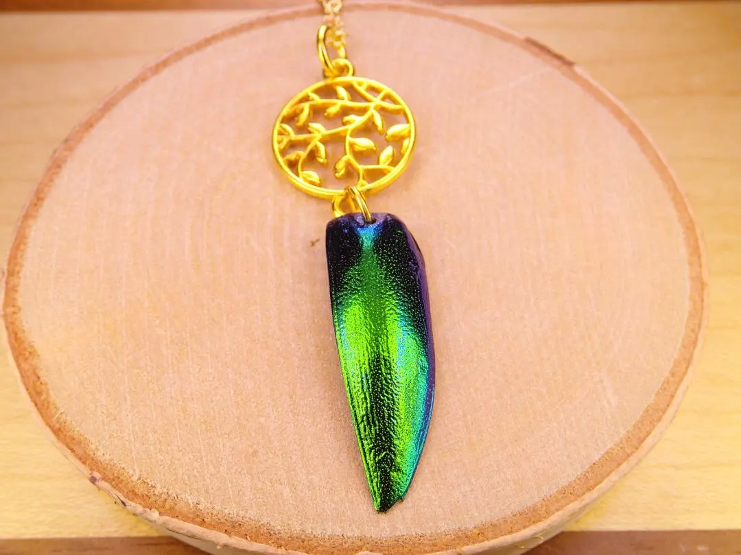 再値下げ‼️格安‼️希少 玉蟲の羽5,000枚 あさやオリジナルラベル