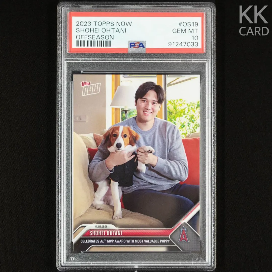 2026年最新】大谷翔平 デコピン psa10の人気アイテム - メルカリ